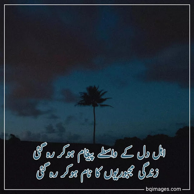 latest urdu shayari dp