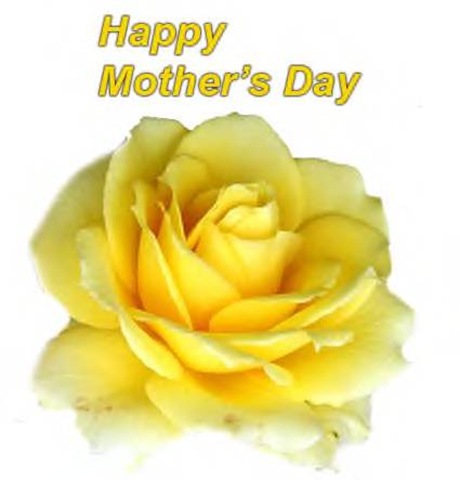 mothers-day-rose