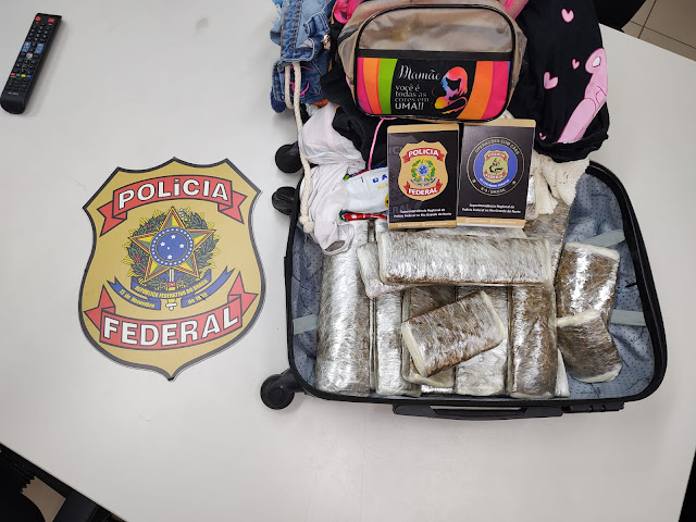 PF flagra passageira com 3 kg de maconha no aeroporto de Natal; veja vídeo