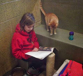 membacakan dongeng untuk kucing