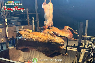 Kambing Guling Cibabat,Kambing Guling,