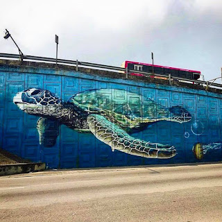 Graffiti art sea turtle on fly over