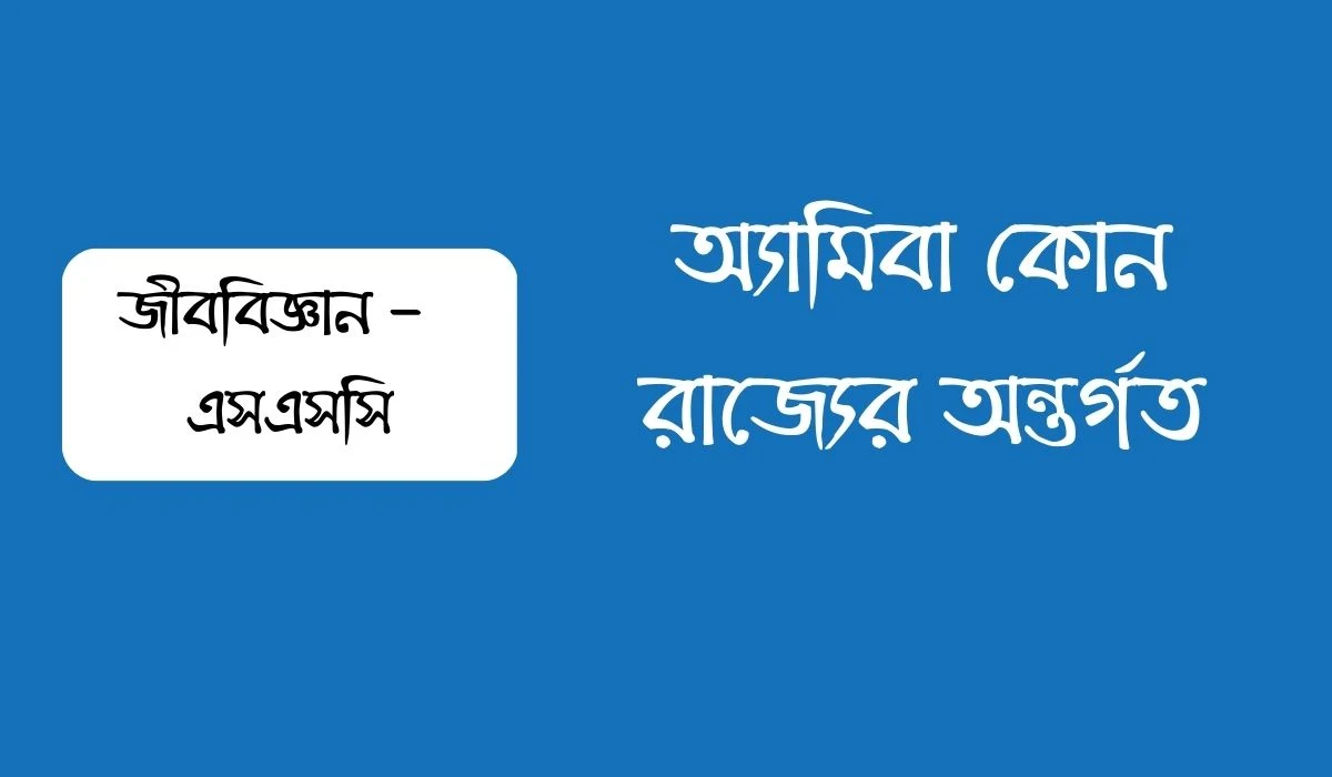 অ্যামিবা কোন রাজ্যের অন্তর্গত