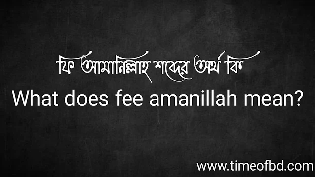 ফি আমানিল্লাহ শব্দের অর্থ কি | What does fee amanillah mean?