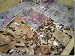 Compost heap covered by mositened nespaper and corrugated paper