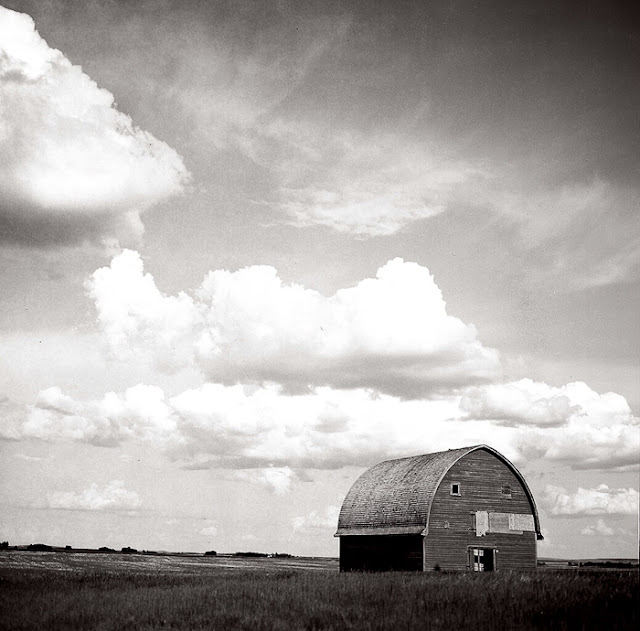 Elyse Bouvier - Prairies