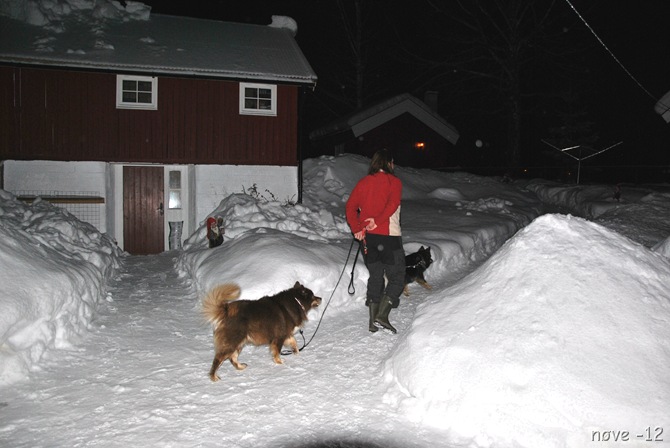 nyttår 014