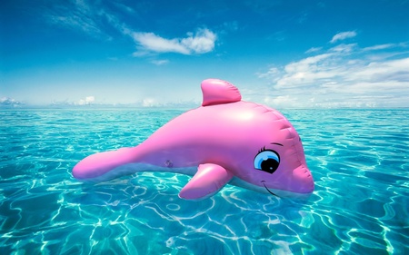 Funny pink dolphin wallpaper