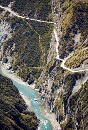 nz