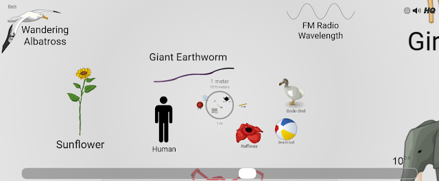 scale of the universe