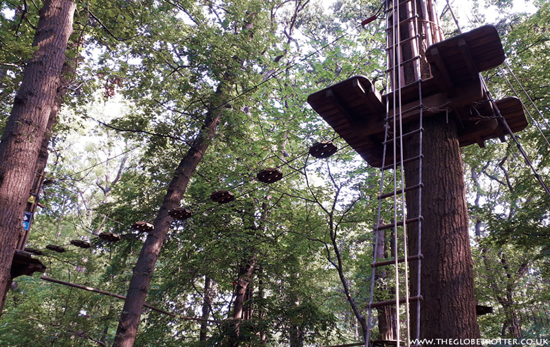 Tree Top Challenge at Go Ape, Cockfosters