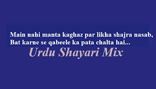 میں نہیں مانتا, Attitude shari, 2 line poetry