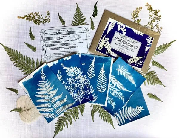 cyanotype sun print kit with ferns