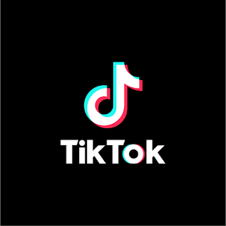 tiktoklike cub