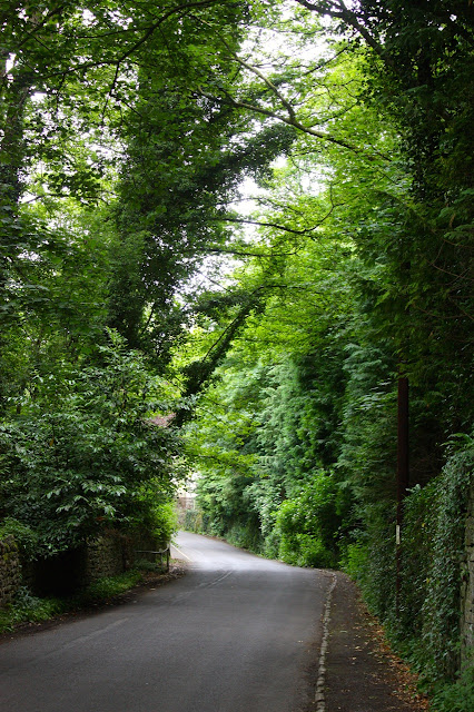 Greenery in Bradford-on-Avon, England