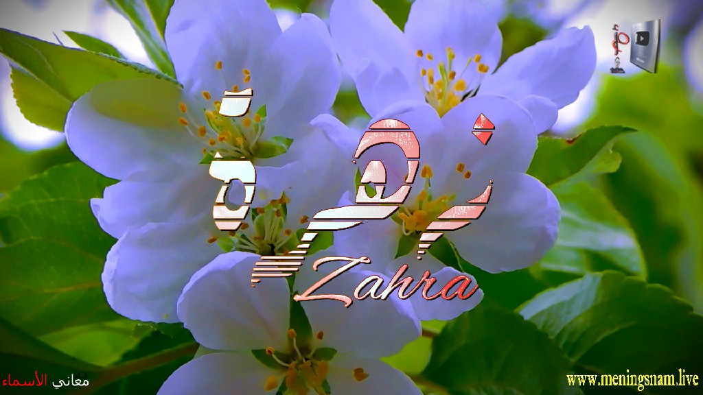 معنى اسم, زهرة, وصفات, حاملة, هذا الاسم, Zahra,