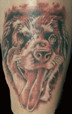 Dog Tattoo design picture gallery - Dog Tattoo Ideas