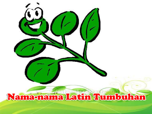 Kumpulan Daftar Nama Latin Tumbuhan / Tanaman Lengkap