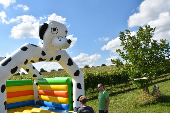 Hunde Hüpfburg