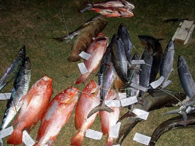 Mancing Gembira: Hasil Timbangan Hari Pertama