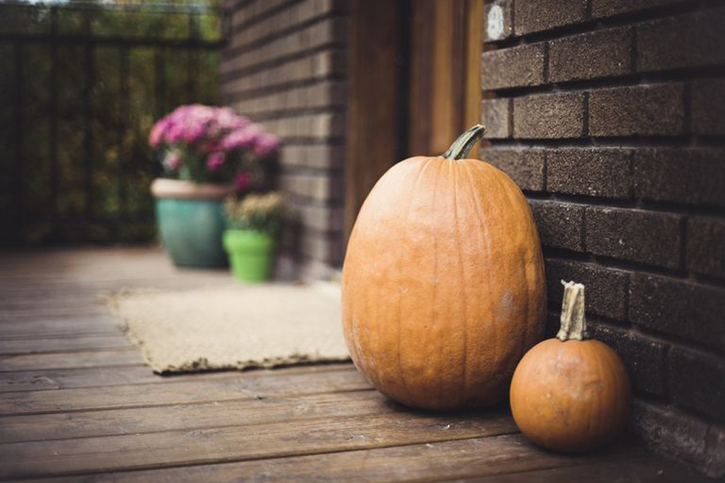 How to Keep Pumpkins From Rotting