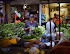 Pasar Jodoh Batam sebagai lokasi Street Photography terbaik