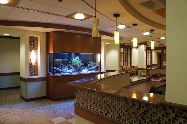 Higher the Best Florida Keys Aquarium Design Service to Build Aquarium