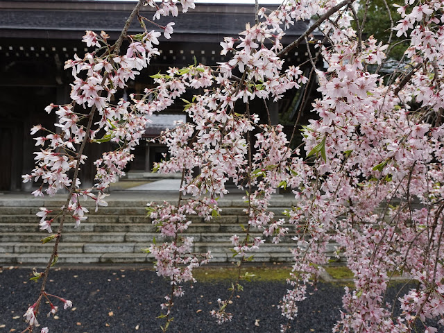 鳥取県西伯郡大山町名和　名和神社　参道