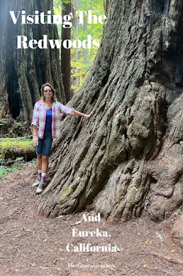 Woman standing by big tree while visiting Redwoods