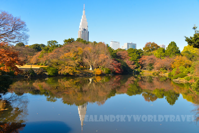 新宿御苑, 紅葉, shinjuku red leaves