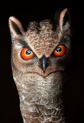 Owl Illusion
