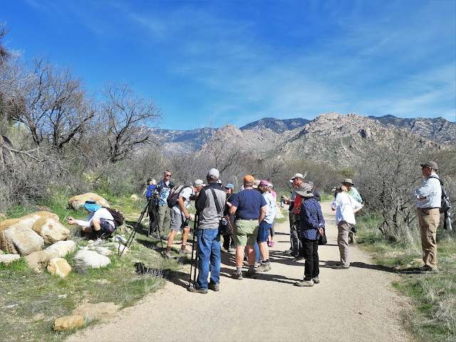 Catalina State Park, Tucson, Arizona. February 2020.