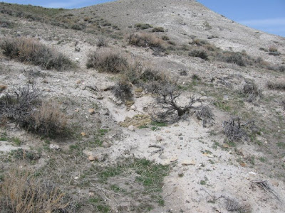 Palo Duro Canyon, Texas HOAX