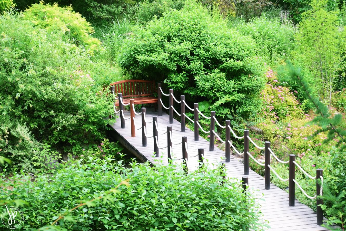 wooden bench at the end of the wooden bridge in a garden