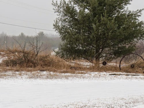 snow on the ground