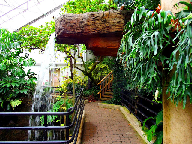 Waterfall in the Conservatory