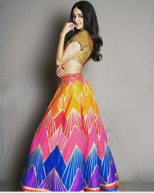 Ananya Pandey Traditional Wear Photoshoot