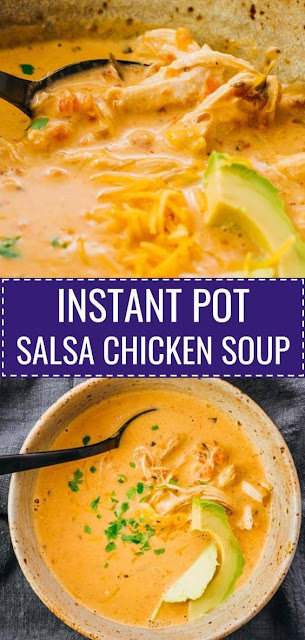 Instant Pot Salsa Chicken Soup