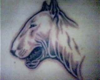 Dog Tattoo Design Photo Gallery - Dog Tattoo Ideas