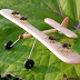 Aeromodelo propulsado por moscas