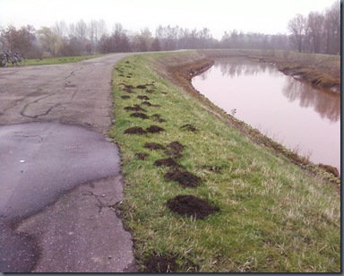 Photo-27