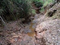 El Torrent de La Guixana