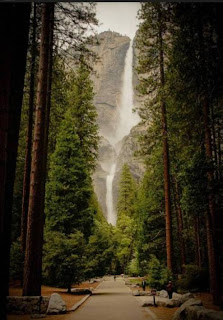 Yosemite National Park (Best Honeymoon Destinations In USA) 7