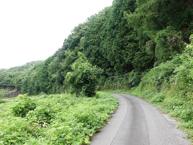 鳥取県西伯郡南部町東上のこもれび広場から金山集落に向かいます