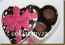 Coklat 28.3.2010 012