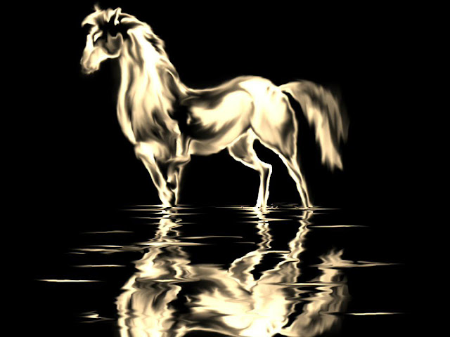 HD Special Horse Wallpaper