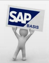 SAP BASIS - Consultoria