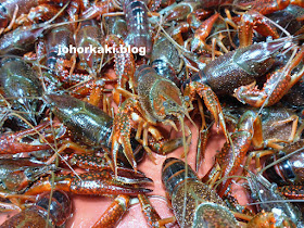 Bali-Lobster-Delicious-Crayfish-Crazy-Wuhan-巴厘龙虾(万松园)