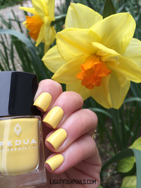 Fedua Dandelion Yellow