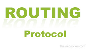 Routing Protocol